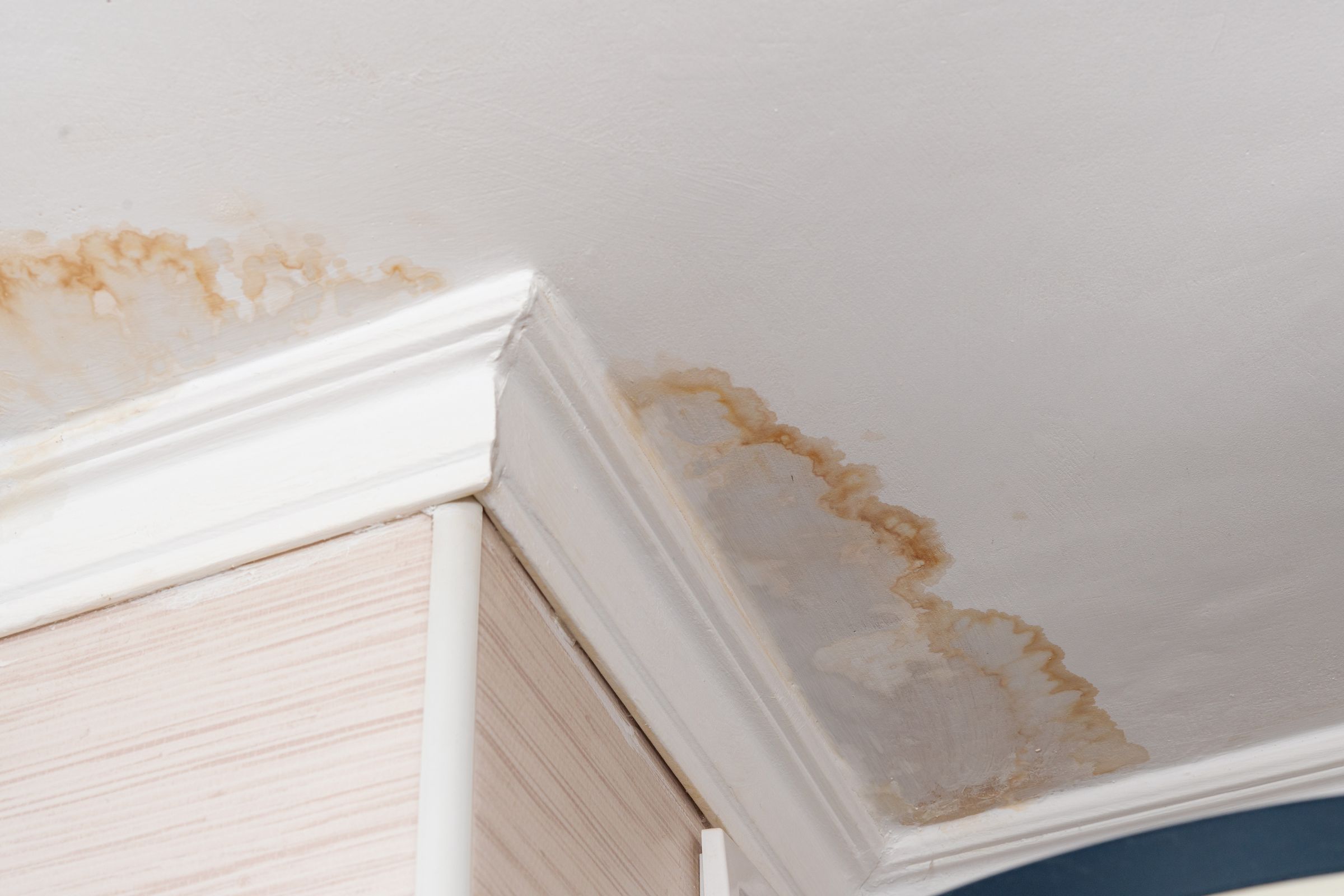 Water stain damage on a ceiling